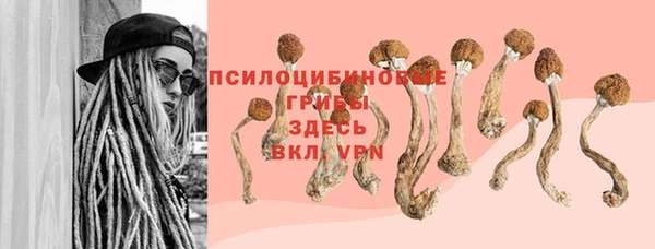 прущая мука Михайловск
