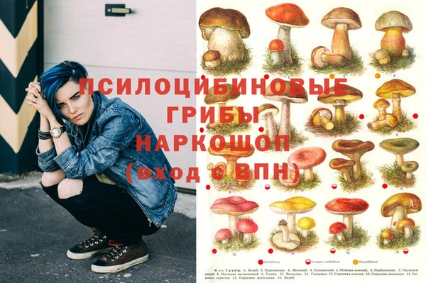 прущая мука Михайловск