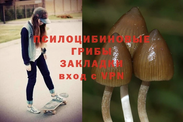 соль курить ск Гусиноозёрск