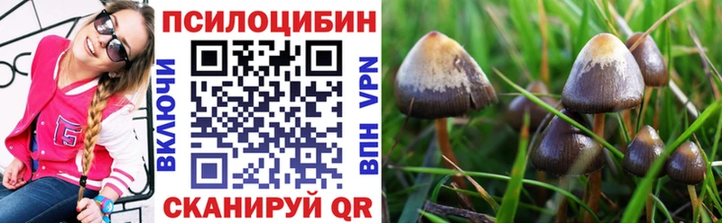 Галлюциногенные грибы GOLDEN TEACHER цена Дудинка