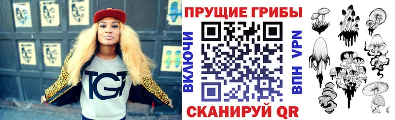 Псилоцибиновые грибы MAGIC MUSHROOMS Дудинка